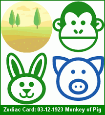 Chinese Zodiac 2019 Pig Reading Green Monkey Born In