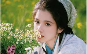 Phim "Tích Hoa Chỉ" của Trương Tịnh Nghi chưa bứt phá