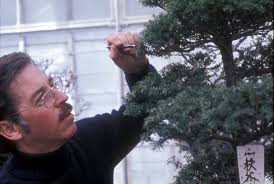 The Museum — National Bonsai Foundation