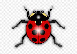 Today, we advise flying insects for you, this article is related with sonic running coloring pages. Dots Ladybug Ladybird Animal Bug Flying Insect Ladybird Clipart Free Transparent Png Clipart Images Download