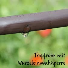 Https Encrypted Tbn0 Gstatic Com Images Q Tbn 3aand9gcqdfvddiligimd Kwuf8fpax1nmejwmvty6ew Usqp Cau