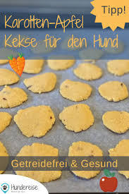 Rezept Fur Getreidefreie Karotten Apfel Hundekekse Hundereise Hunde Kekse Rezept Hundekekse Hundekuchen Rezepte
