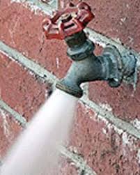 العلماء يدعون إلى ترشيد استهلاك المياه والمحافظة عليها عبر الإمارات البيان