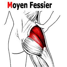 Que ça soit la musculation, la boxe il est donc important de faire les exercices les plus efficaces pour muscler rapidement les fessiers et les cuisses. 13 Exercices Fessiers Pour Des Fesses Musclees Et Galbees