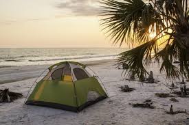 Maybe you would like to learn more about one of these? 11 Stunning Places For Beach Camping In Florida Flavorverse