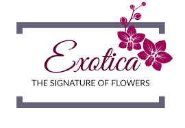 And the home is on ligustrum flower drive. Houston Florist Houston Tx Flower Shop Exotica The Signature Of Flowers