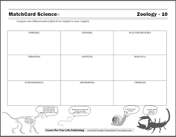 Animal Phyla Worksheet