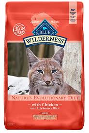 Are there any recalls for blue buffalo wilderness cat food in 2021? Blue Buffalo Cat Food Recall