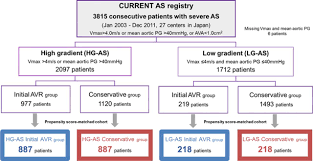 high versus low gradient severe aortic stenosis