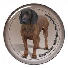 Weitere ideen zu bayerischer gebirgsschweißhund, bayrischer gebirgsschweißhund, hunde. Bayerischer Gebirgsschweisshund