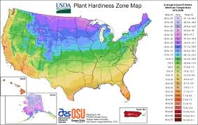 But what plants can you successfully grow in your garden? Hardiness Zones Forestry Usu