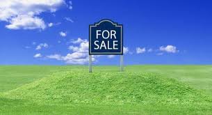 Learn what to investigate before buying vacant land on which to build, and who can help you navigate the buying and building process. Selling Vacant Land 10 Point Checklist House Heroes