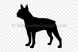 Vector illustration of a boston terrier. Boston Terrier Clipart Silhouette Hd Png Download 640x480 6503274 Pngfind