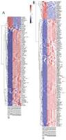 Image result for bioinformatics heatmap