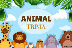 And you might learn a thing or two in the process. 110 Animal Trivia Question Answers Meebily