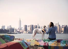 Ultimately, his love for new york brought him back to nyc! 6 Expert Tips Every Nyc Pet Owner Needs To Know Purewow