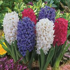 We did not find results for: Wedding Flowers By Season Seasonal Wedding Flowers Wedding Ideas