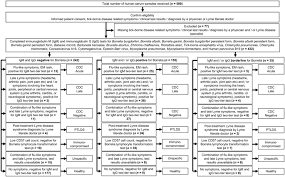 Evaluating Polymicrobial Immune Responses In Patients