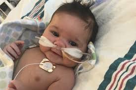 Fundraiser by Barbara Klotz : The Kaden fund