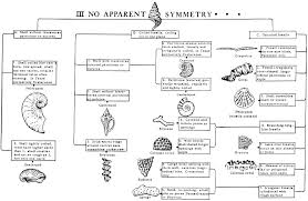 index fossil chart para sys