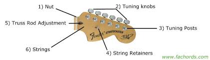 Stratocaster® service diagrams model part no. Guitar Parts Names Know The Parts Of Electric Guitar