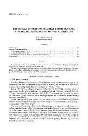 Image result for Schlechterina