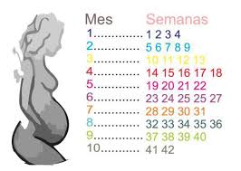 I➨ semana 13 de embarazo. Unidad De Medicina Fetal De Cuantos Meses Estoy Doctor Correspondecia De Semanas Y Meses En El Embarazo Facebook