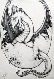 Pencil Sketches Of Baby Dragons Kembang Pasir Dragon Drawings In Pencil Baby Dragon Tattoos Baby Dragons Drawing