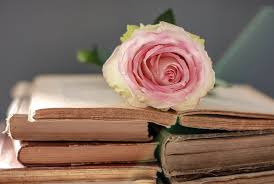 See the almanac's complete list of flower meanings and plant symbolism. Books And Flowers Wallpapers Top Free Books And Flowers Backgrounds Wallpaperaccess