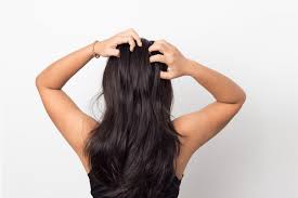 Also, if you're wondering about your dark brunette or black hair, to combat the same issue i recommend using a blue shampoo. Purple Shampoo On Brown Hair Does It Work The Blushing Bliss