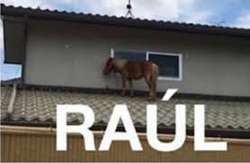 Machine wash cold with like colors, dry low heat. Kawber On Twitter Sivemorten It S Always Juan Https T Co Mvdszjf8ep Twitter