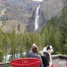 Gillian Hatch (@Gillian_CH)