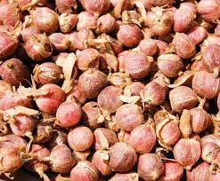 Dapatkan harga kapulaga termurah di halaman jual kapulaga agromaret. Kapulaga Definition Und Synonyme Von Kapulaga Im Worterbuch Javanisch