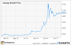 This Marijuana Stock Is Already Worth 1 Billion Is It A