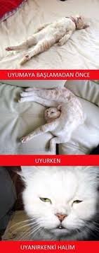 Uyumak Komik Seyler Komik Goruntuler Gulunc Resimler