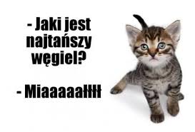 MIAŁ WĘGLOWY KWK PIAST 23MJ/kg 🔥... - Skład Opału Gawlik Bełk | By Skład Opału Gawlik Bełk | MIAŁ WĘGLOWY KWK PIAST 23MJ/kg 🔥 Miał węglowy jest opałem, który należy do najtańszej