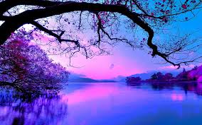 Perfect screen background display for desktop, iphone, pc, laptop, computer, android phone, smartphone, imac, macbook, tablet, mobile device. Nature 1080p 2k 4k 5k Hd Wallpapers Free Download Wallpaper Flare