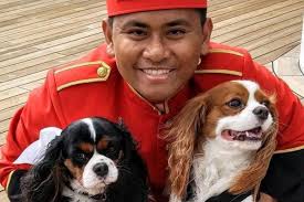 Kreuzfahrt: Prominente geben Tipps für die nächste Seereise