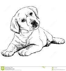 It is only in how we see the object. Drawing Animals Home Facebook