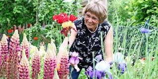 Zahlreiche institutionen und vereinigungen aus schleswig und umgebung schreiben einen brief an den eigentümer. Diese Ostholsteiner Offnen Am Wochenende Ihren Garten