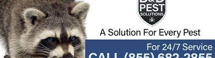 B & d pest solutions llc | we provide end to end exterminator, pest control and management services for residential commercial and industrial setups. B D Pest Solutions Llc Saint Louis Mo Alignable