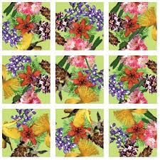 Maybe you would like to learn more about one of these? American Native Flowers Scramble Squares B Dazzle