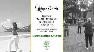 Bizim Bahce Urla Da Tai Chi Shibashi Derslerimiz Basliyor Ayhan Guler