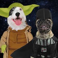 Karnevalio.de ist eine der größten europäischen preisvergleichswebseiten. Star Wars Kostume Lichtschwerter Maskworld Com