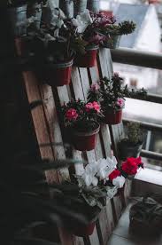 Maybe you would like to learn more about one of these? Balcony Garden Pictures Download Free Images On Unsplash