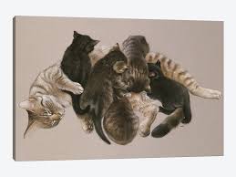 Need to print your photo on canvas? Muppet Nursing Her Kittens Canvas Wall Art By Ivory Cats Icanvas