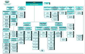 organizational chart of national bank of greece greece