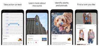 This is the second google service in this ranking. Looking For Image Recognition App Here S Everything You Need