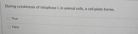 Other cell types are produced by mitosis. During Cytokinesis Of Telophase I In Animal Cells A Chegg Com