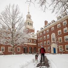 More snow in the forecast today!